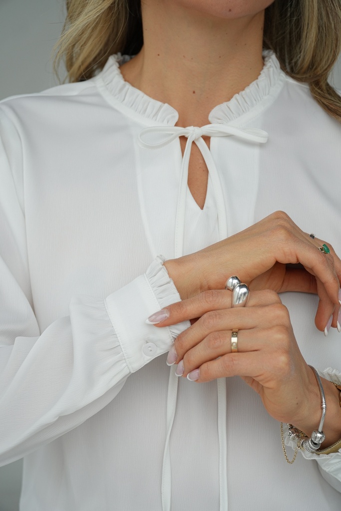 BLUSA PARQUE LA CAROLINA