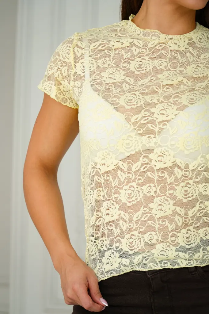 DSC07336.webp